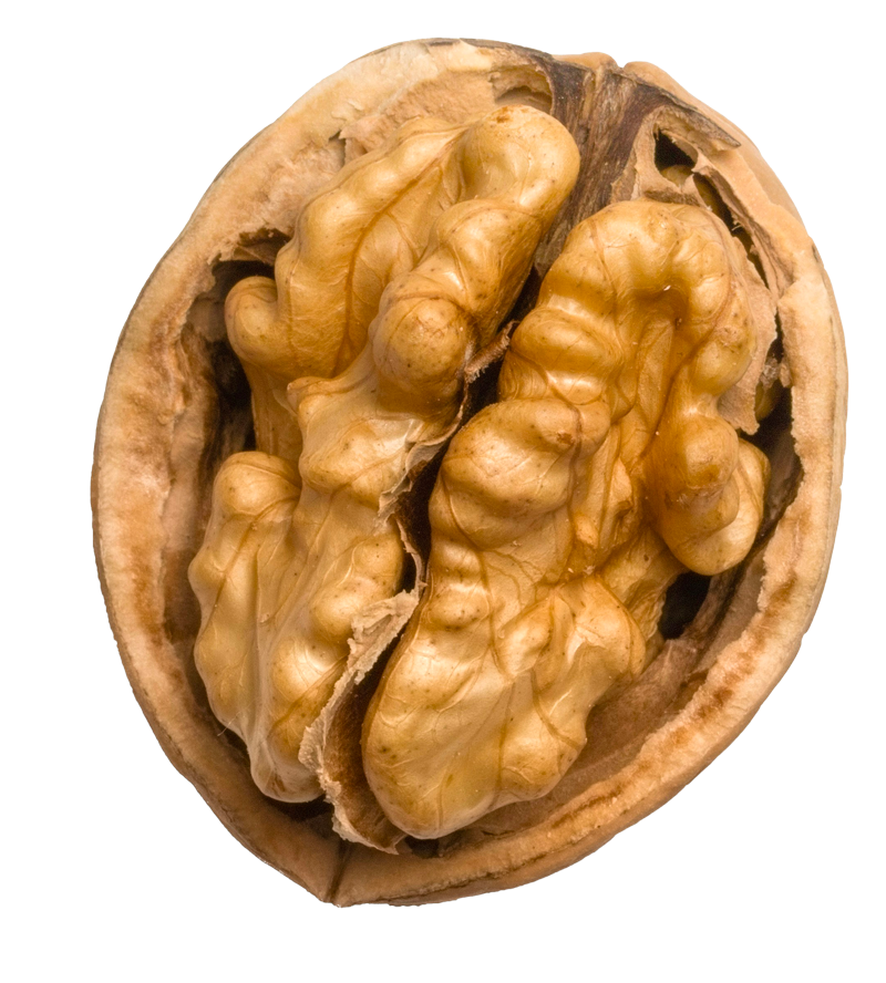 noix