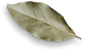 spice-shop-37-300x182