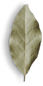 spice-shop-40-149x300